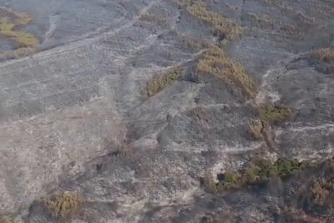 Tekirdağ Şarköy’deki yangın kontrol altında 