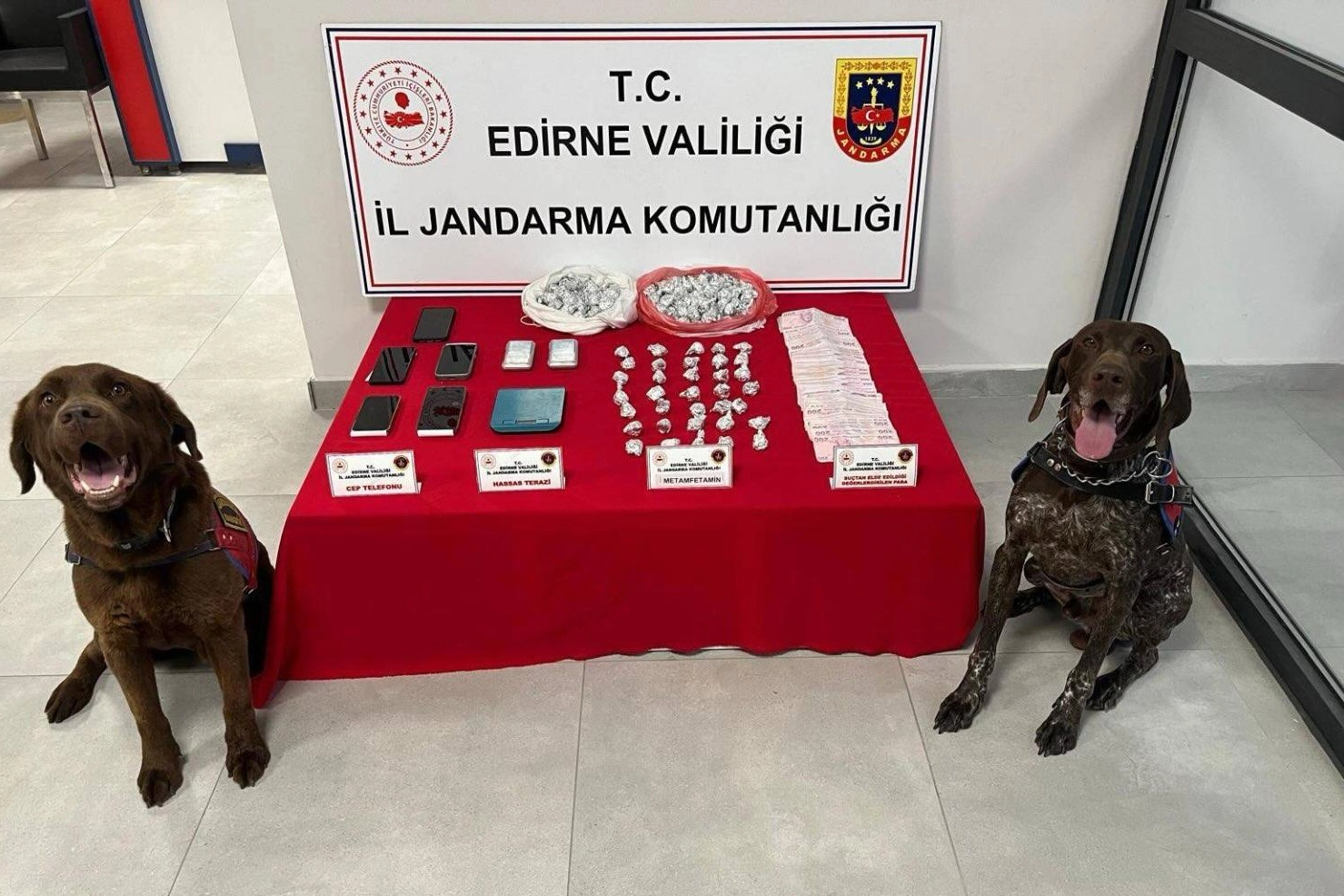 Edirne Keşan Jandarması'ndan uyuşturucu operasyonu 