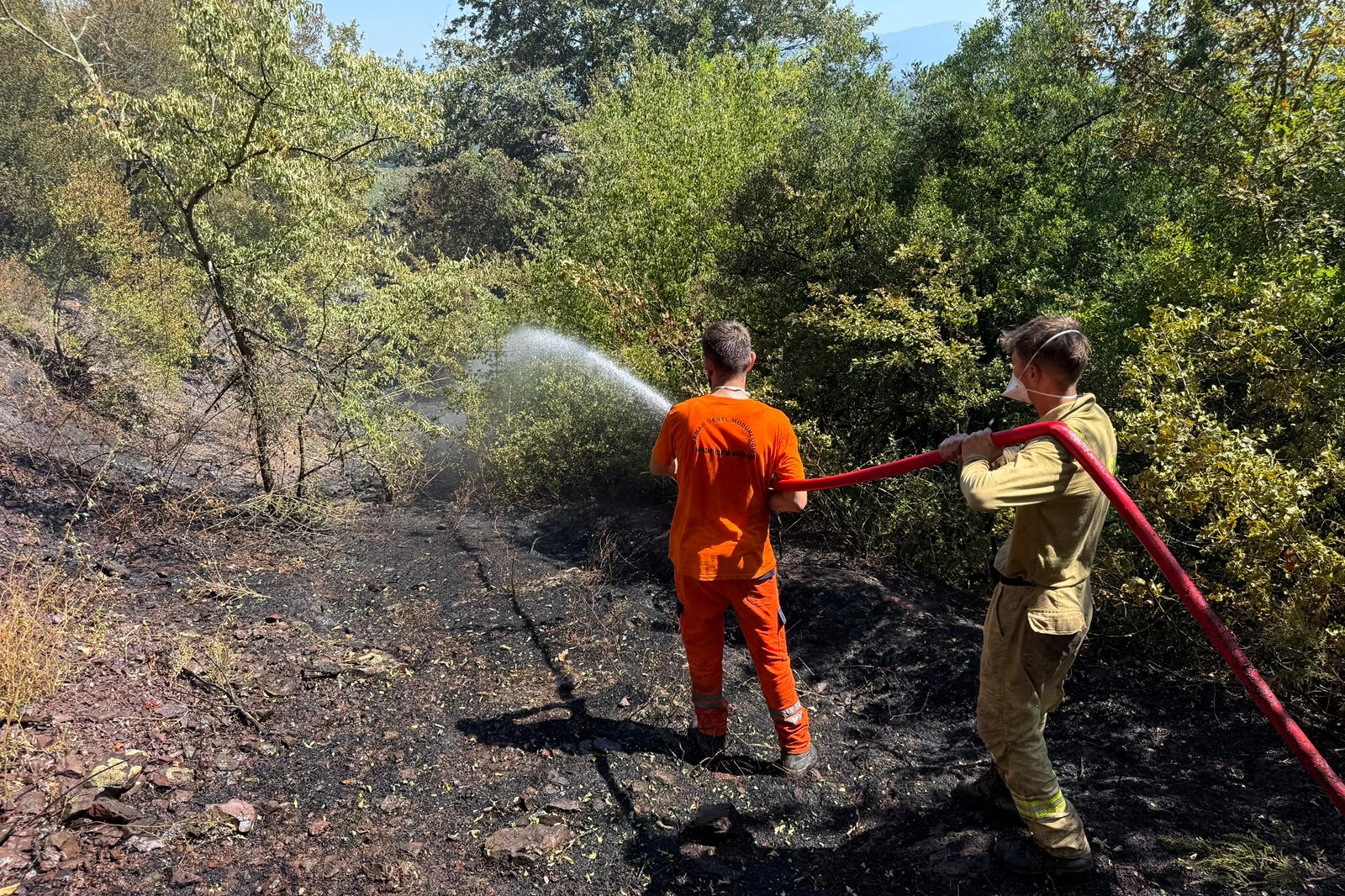 Sakarya Adapazarı'ndaki orman yangını kontrol altında 