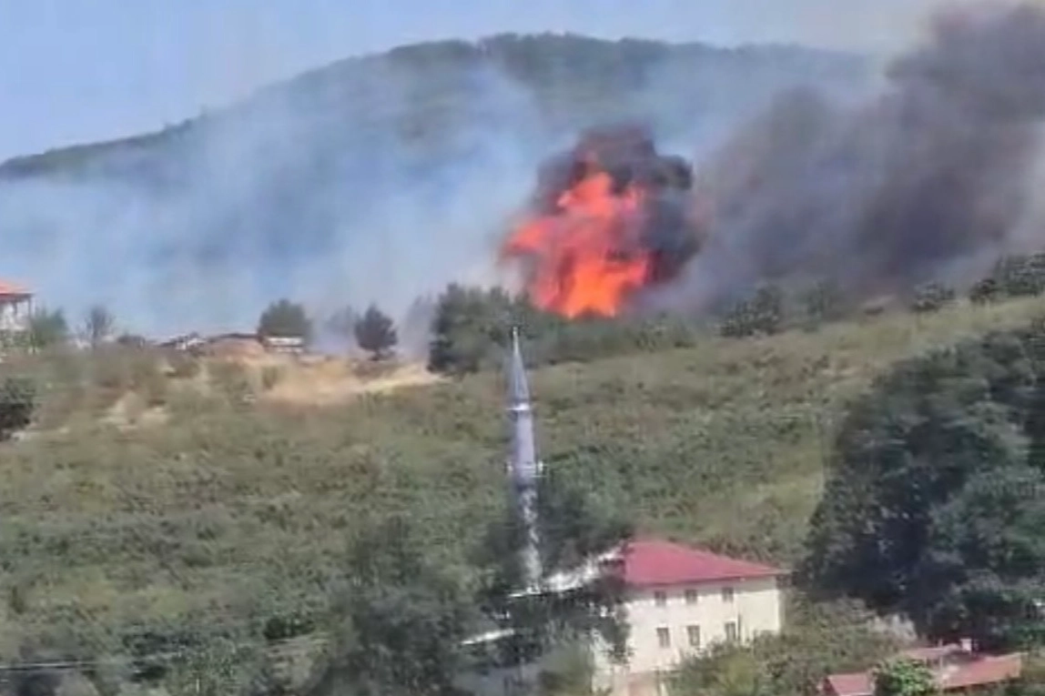 Düzce-Sakarya sınırında orman yangını 