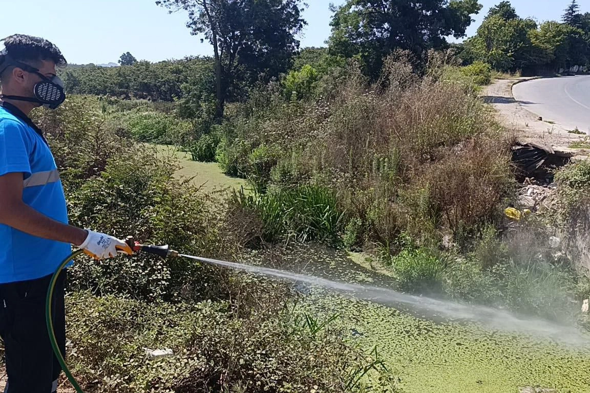 Sakarya'da dere yatakları, kanallar, bataklıklar ve göletlere tek tek ulaşıyorlar 