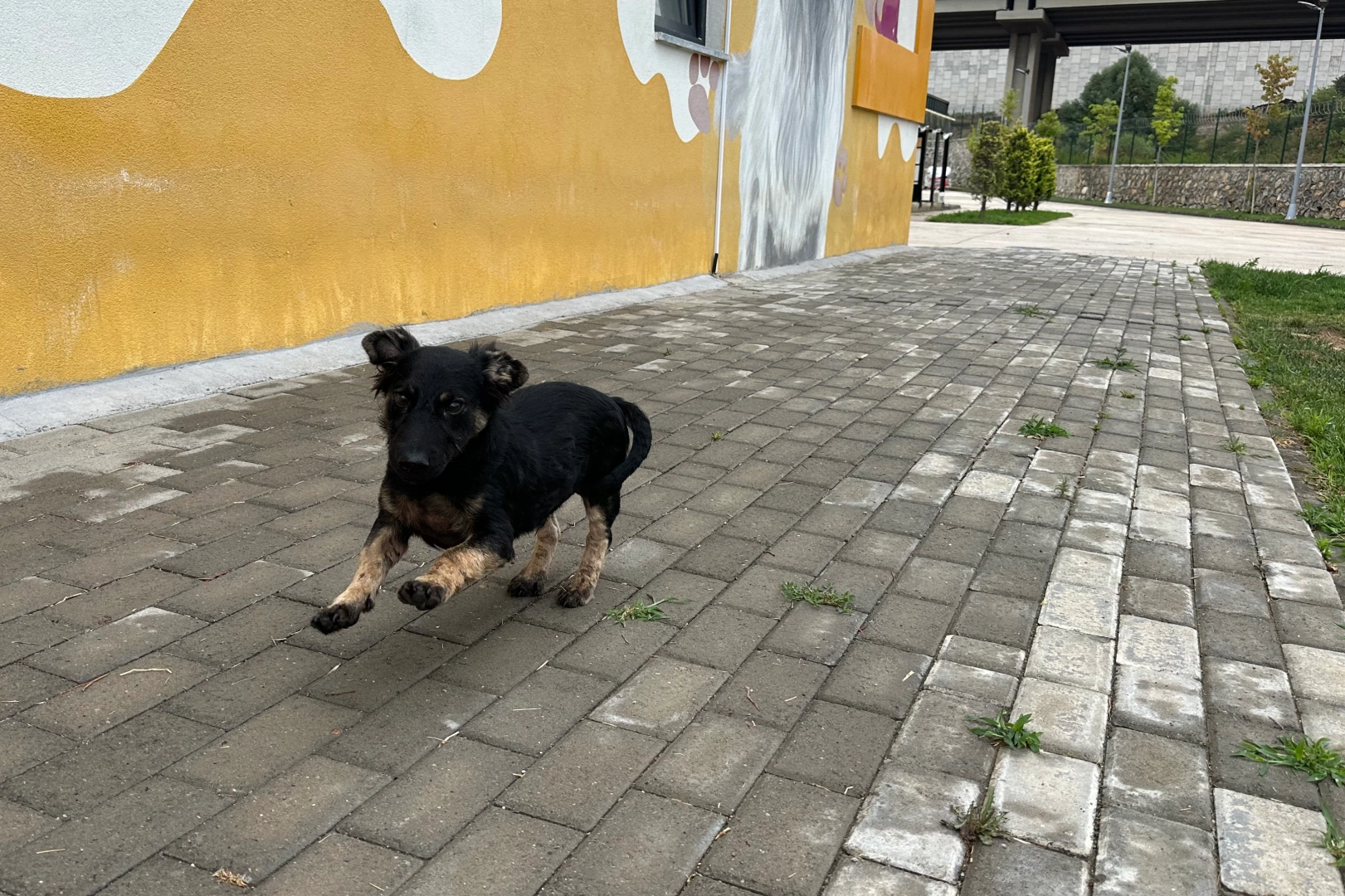 Zifte bulanmıştı, rehabilitasyonla yaşama tutundu 