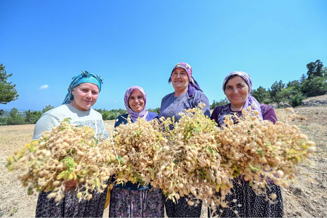 Atalık tohumlar geleceğe taşınıyor 
