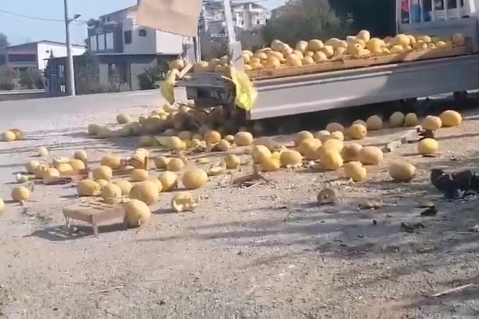Düzce'de kaza: Kavunlar yola saçıldı 