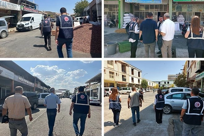 Fıstık sektörüne iki ilde kapsamlı denetim 