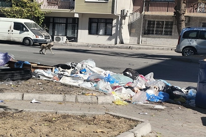 İzmir Buca’da çöp krizi! Mahalleler çöplüğe döndü, vatandaşlar isyanda 