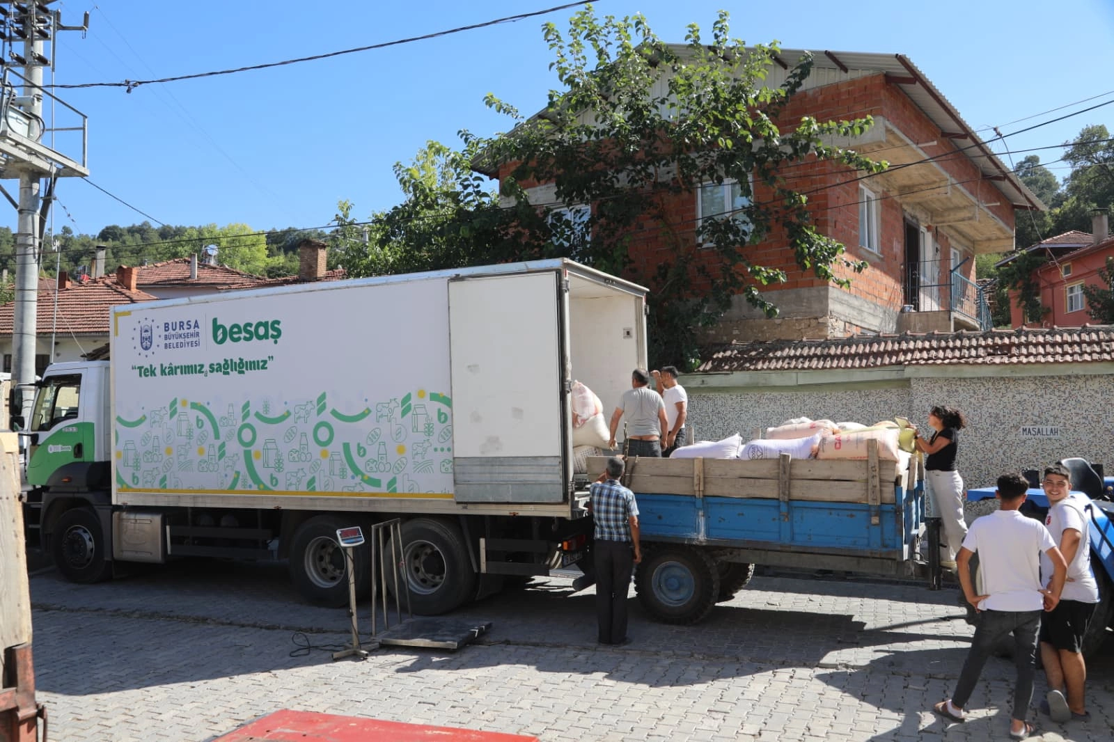 Bursa Büyükşehir'den 'siyez buğdayı' nefesi 