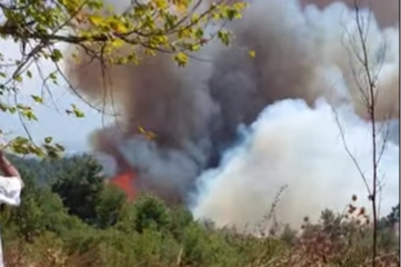 Bursa Gündoğdu Tepesi’nde orman yangını 
