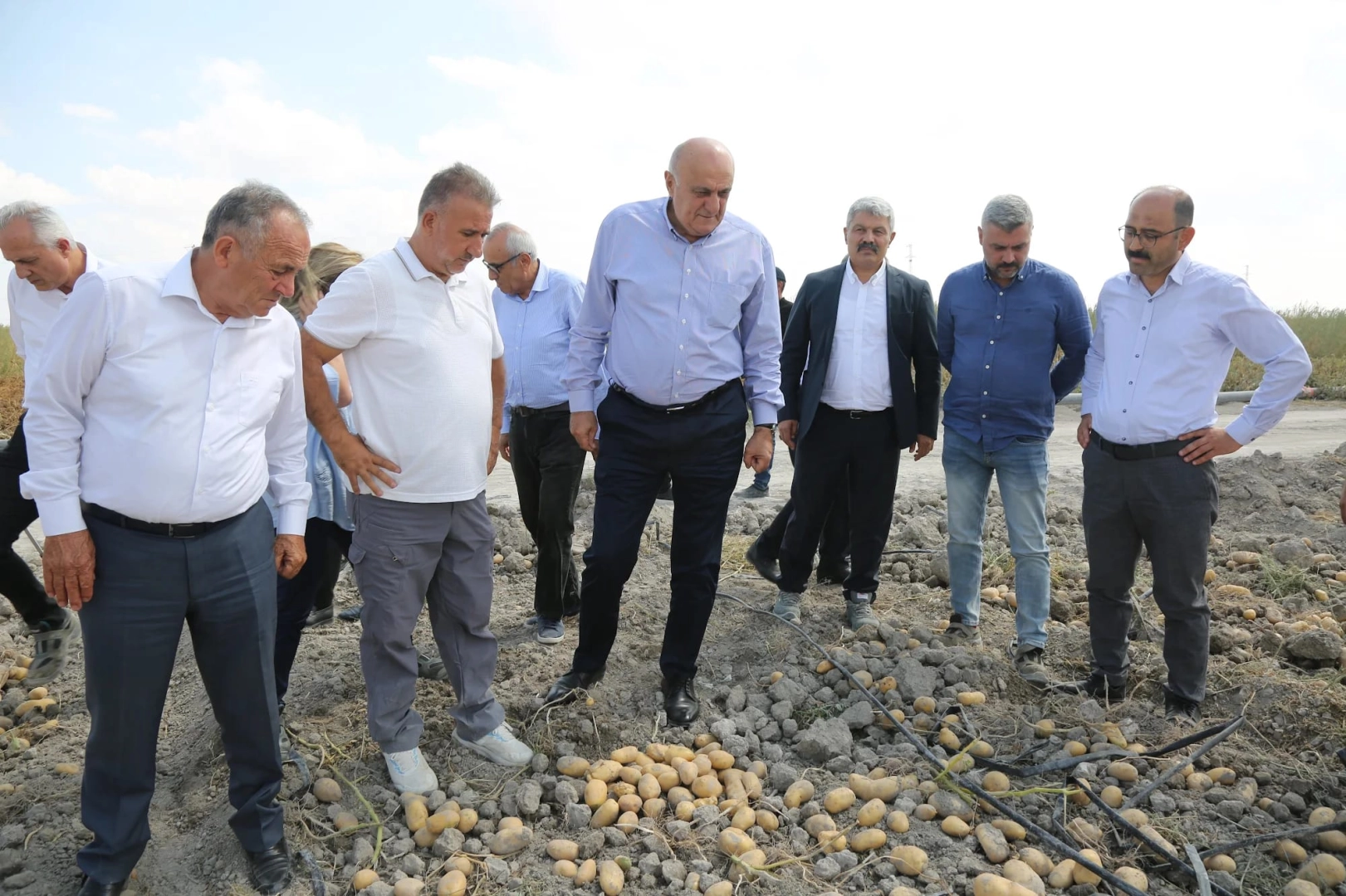 Konya Şeker’den yerli patates tohumu müjdesi... 2027’de dışa bağımlılık bitecek 
