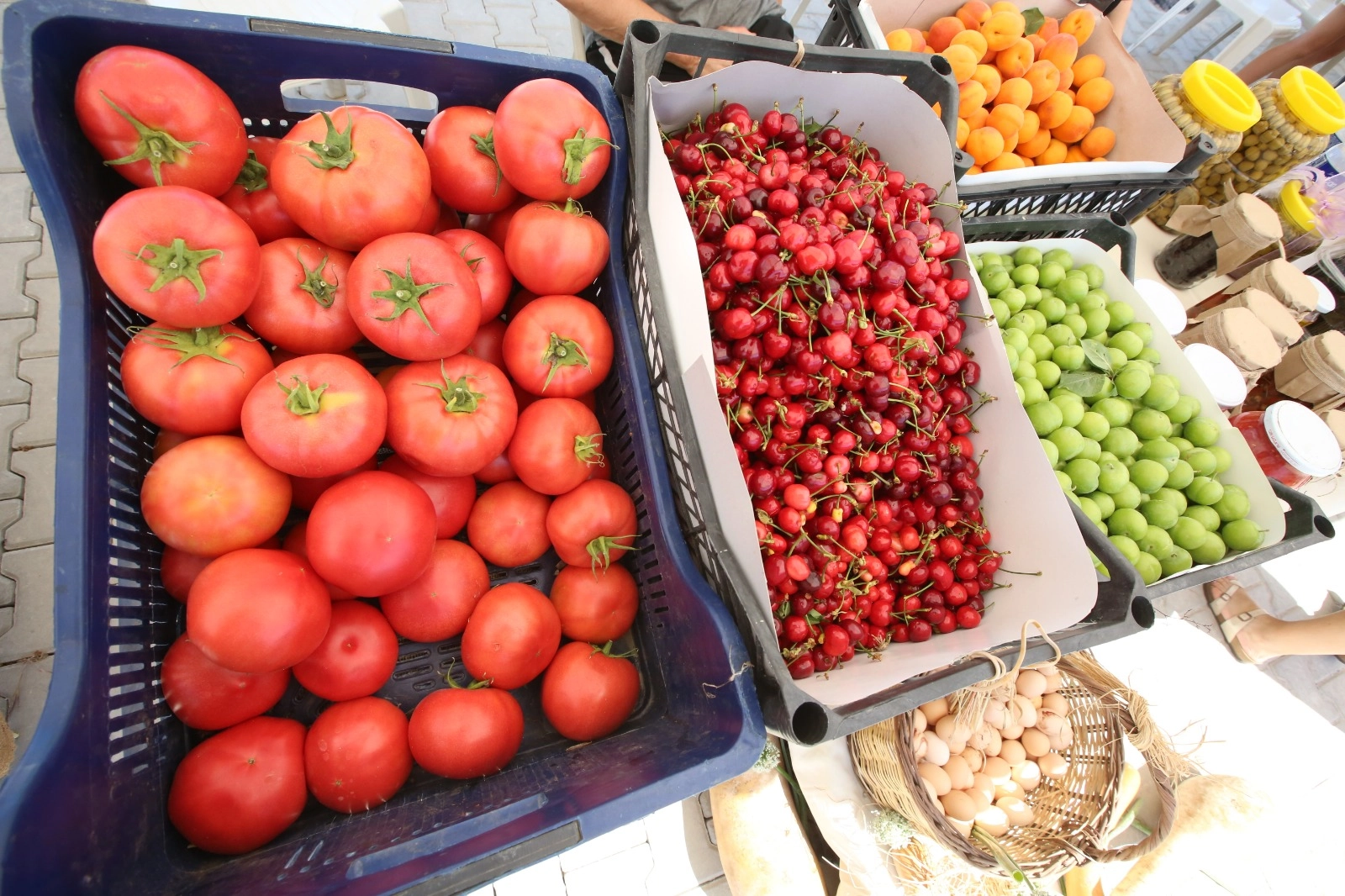Efes Tarlası Yaşam Köyü’nde Üretici Pazarı 19 Ekim'de kapılarını açıyor