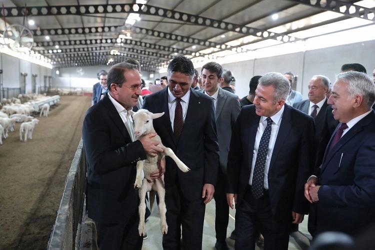 İzmir Aliağa tarımsal kalkınmada örnek oluyor 