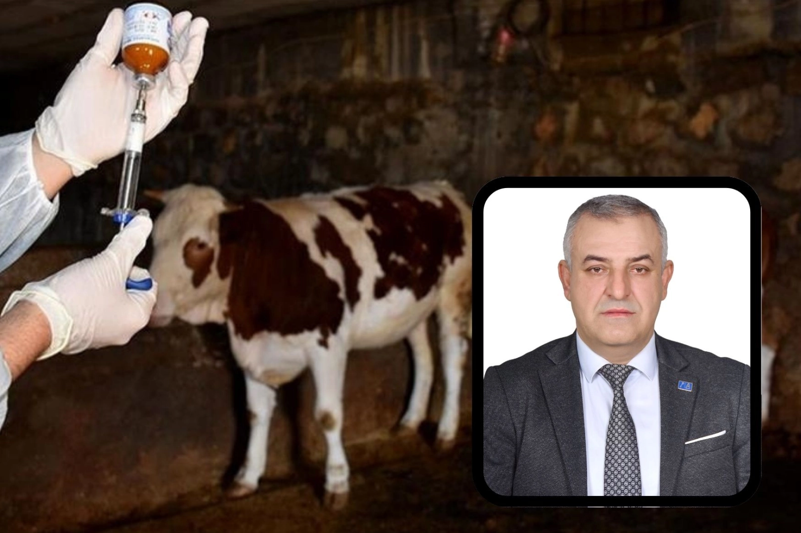 Bursa Mustafakemalpaşa’da şap alarmına A Parti açıklaması 