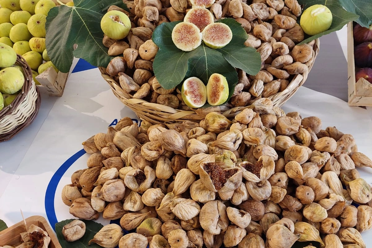 Kuru incir ihracatında tarihi rekor 