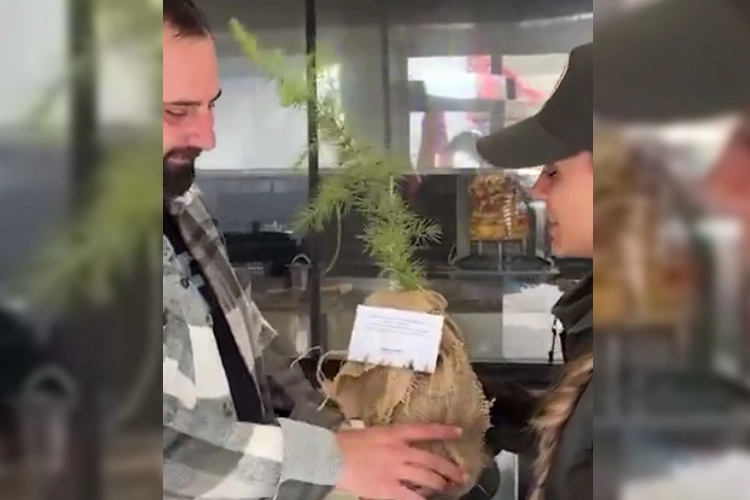 Bakan Yumaklı’dan Bursa mesajı: Yeşil Vatan milyonların kalbinde yeşeriyor 