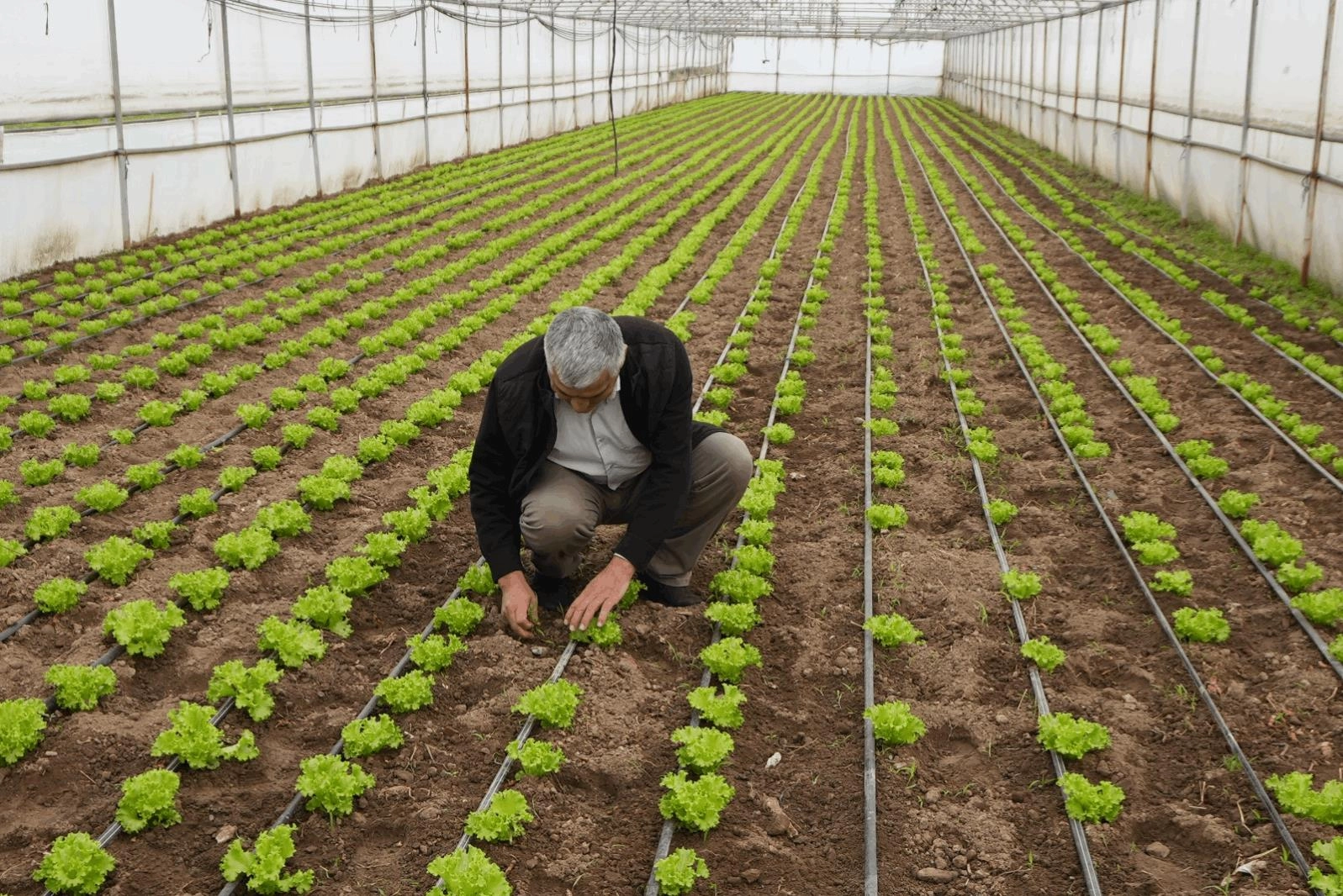 Balıkesir’de “Tarım Modeli” ile çiftçiye destek 