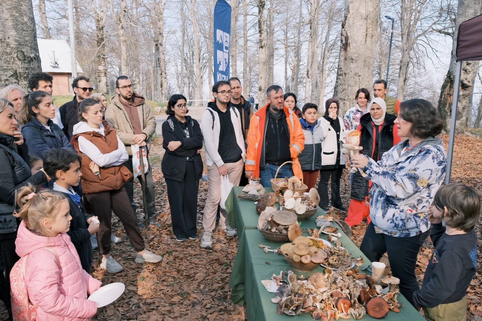 Kocaeli Kuzuyayla’da mantarların gizemli dünyası keşfedildi 