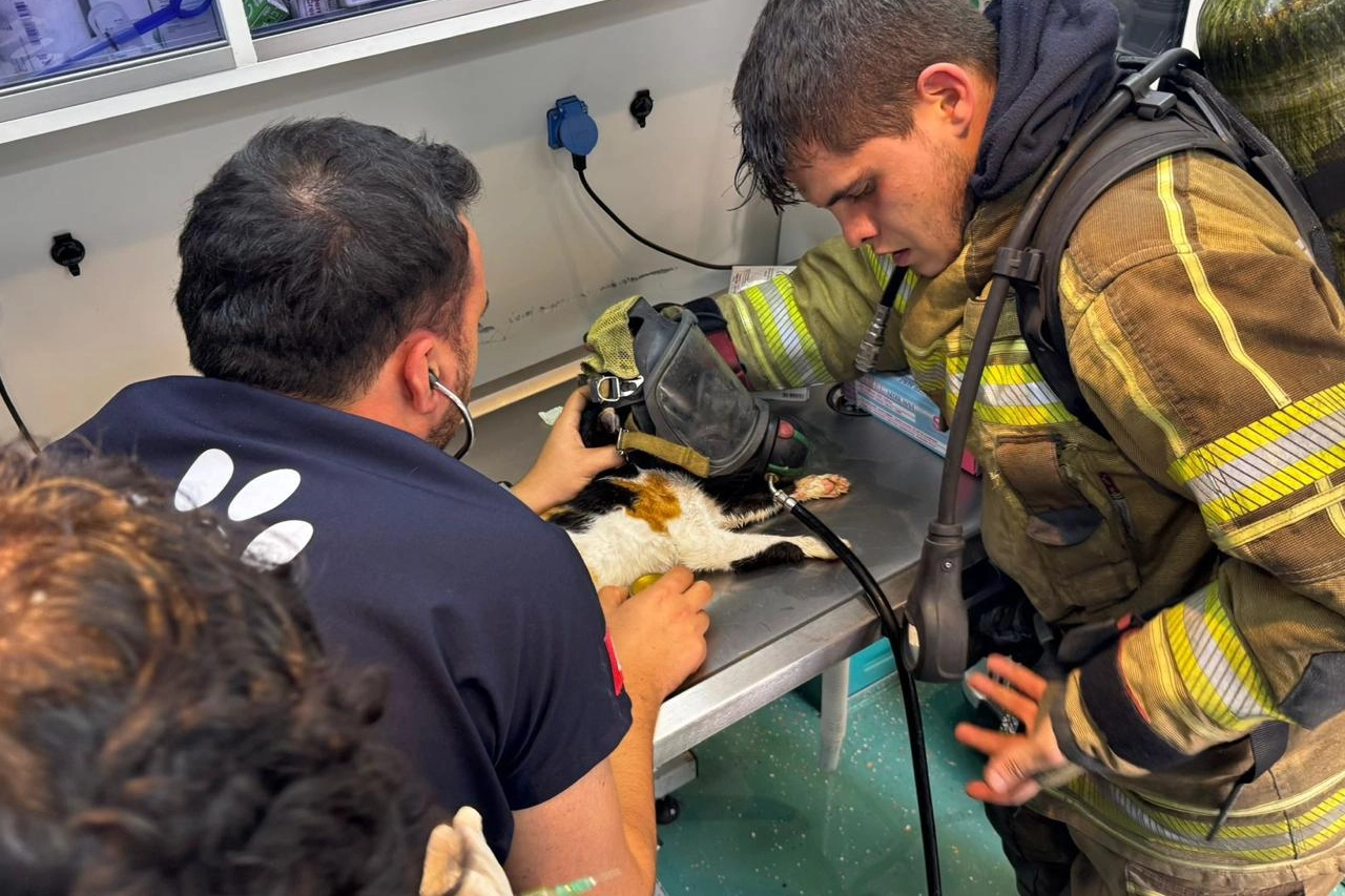 İzmir’de itfaiyeden can dostlara kahramanca müdahale 