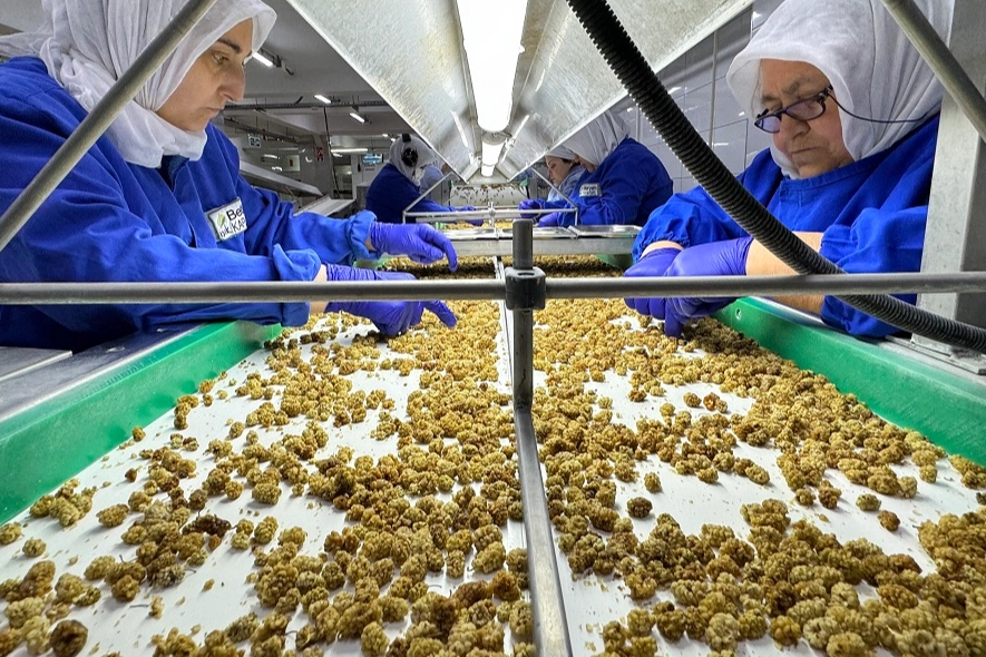 Çin’de organik sektörü 15 milyar dolarlık hacme ulaştı 