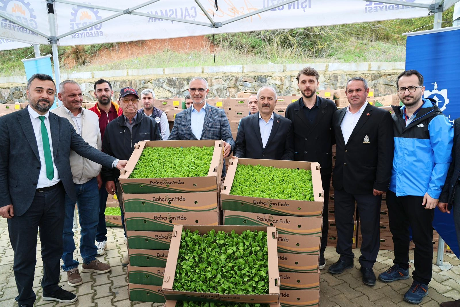 Gebze'de sebze fideler dağıtıldı 