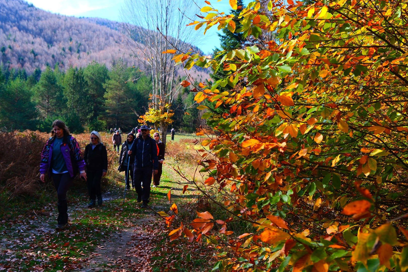 Sakarya’da doğa yürüyüşlerinde sonbahar coşkusu 