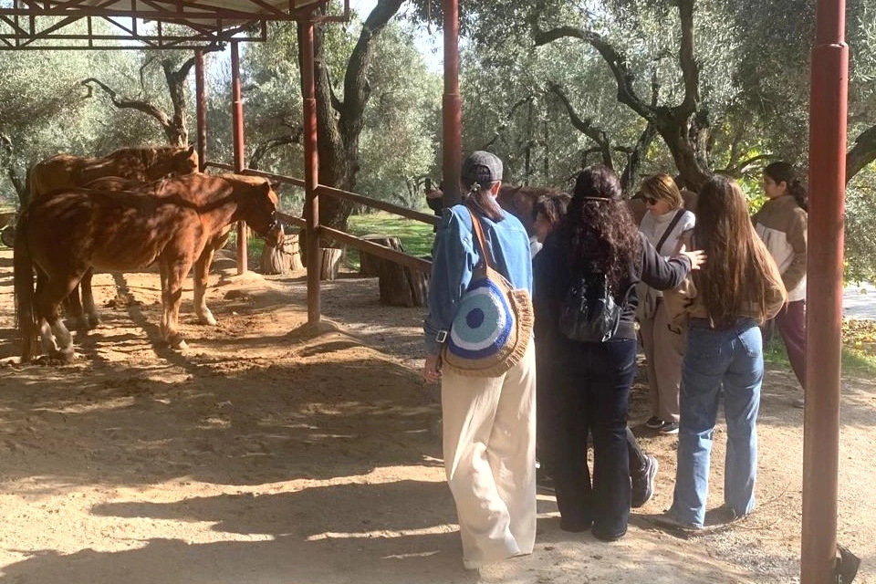 İzmir Narlıdere'de gönüllülere teşekkür 