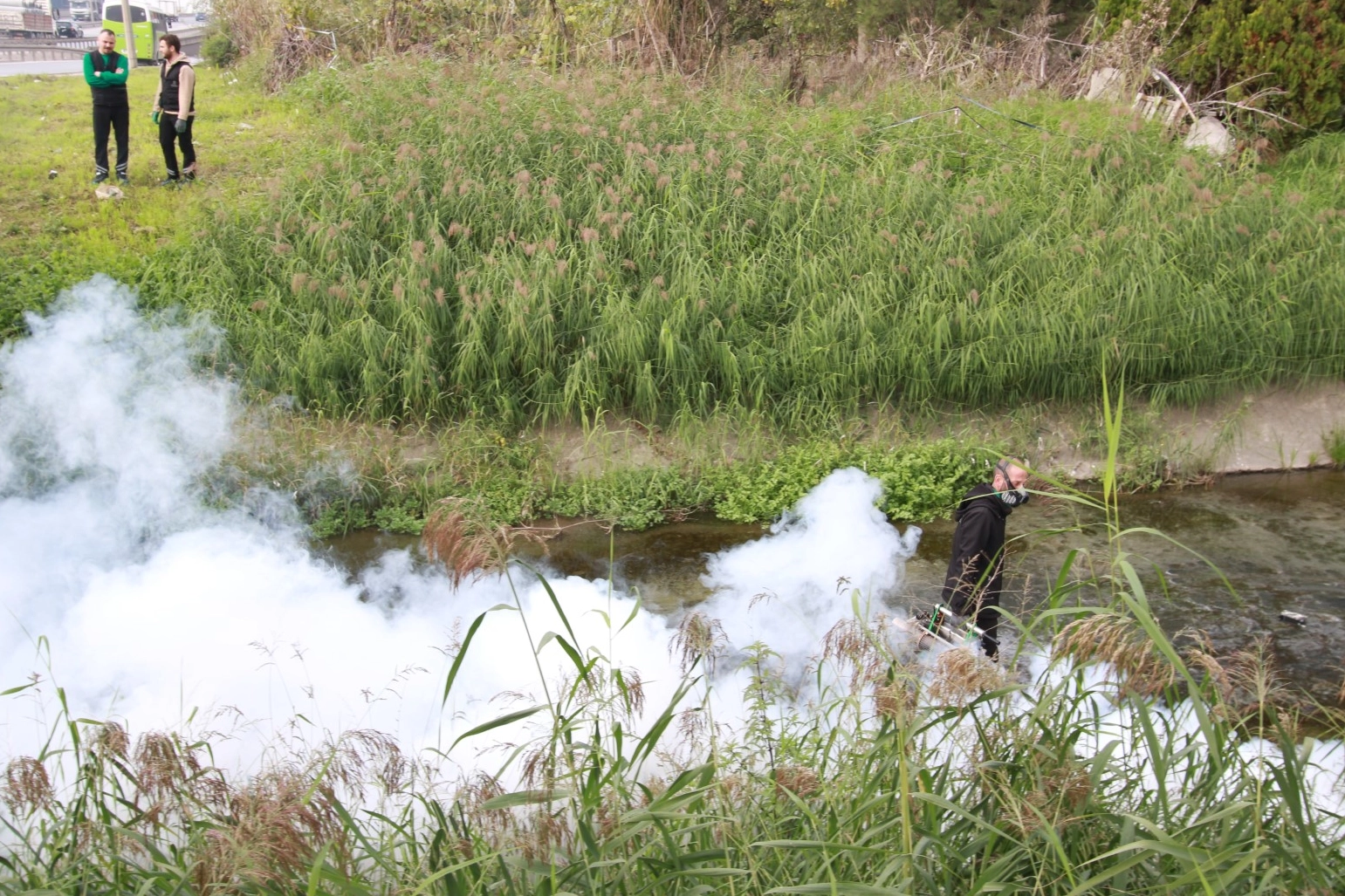 Kocaeli'de sinekle mücadele dört mevsim hız kesmiyor 