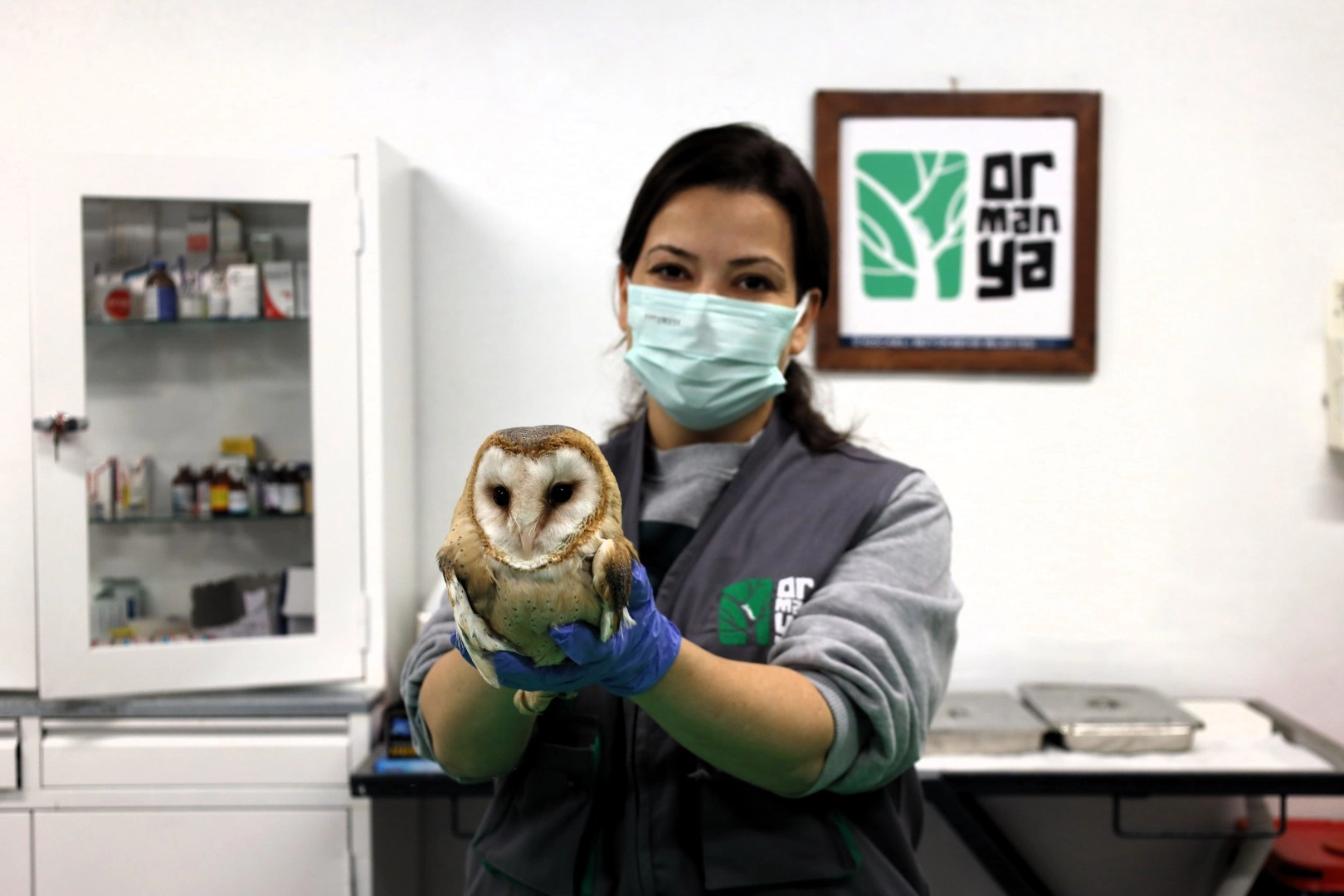 Ormanya yaban hayvanlarına umut oluyor 