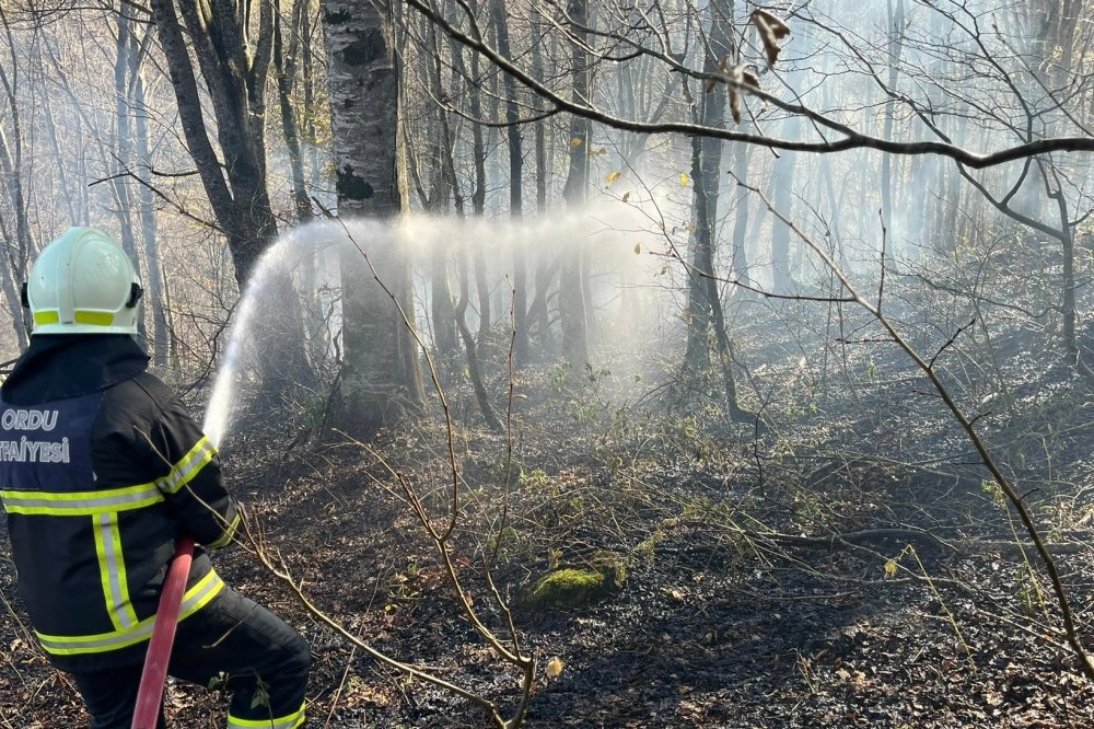 Ordu’da bir haftada 40 yangın alarmı 