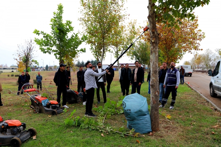 Diyarbakır'da üniversite öğrencileri sahada budama tekniklerini uygulamalı öğrendi 