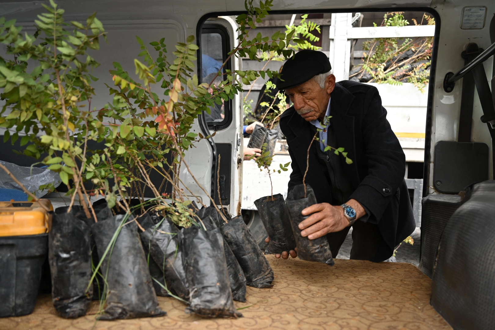 Konya’da 6 bin 370 sumak fidanı çiftçilere ulaştı 