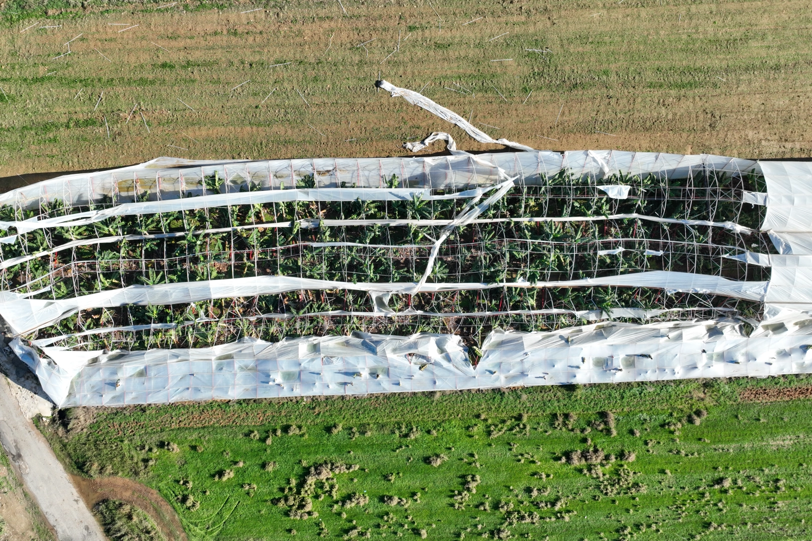 Antalya Büyükşehir’den hortum felaketinde çiftçiye destek 