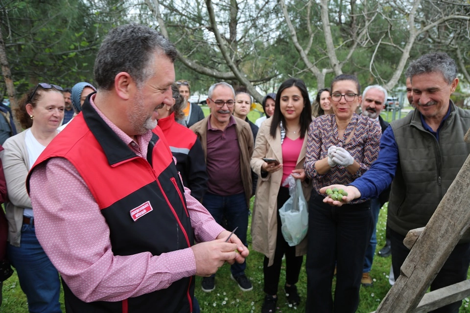 Bursa siyahı incirde sıkı denetim 