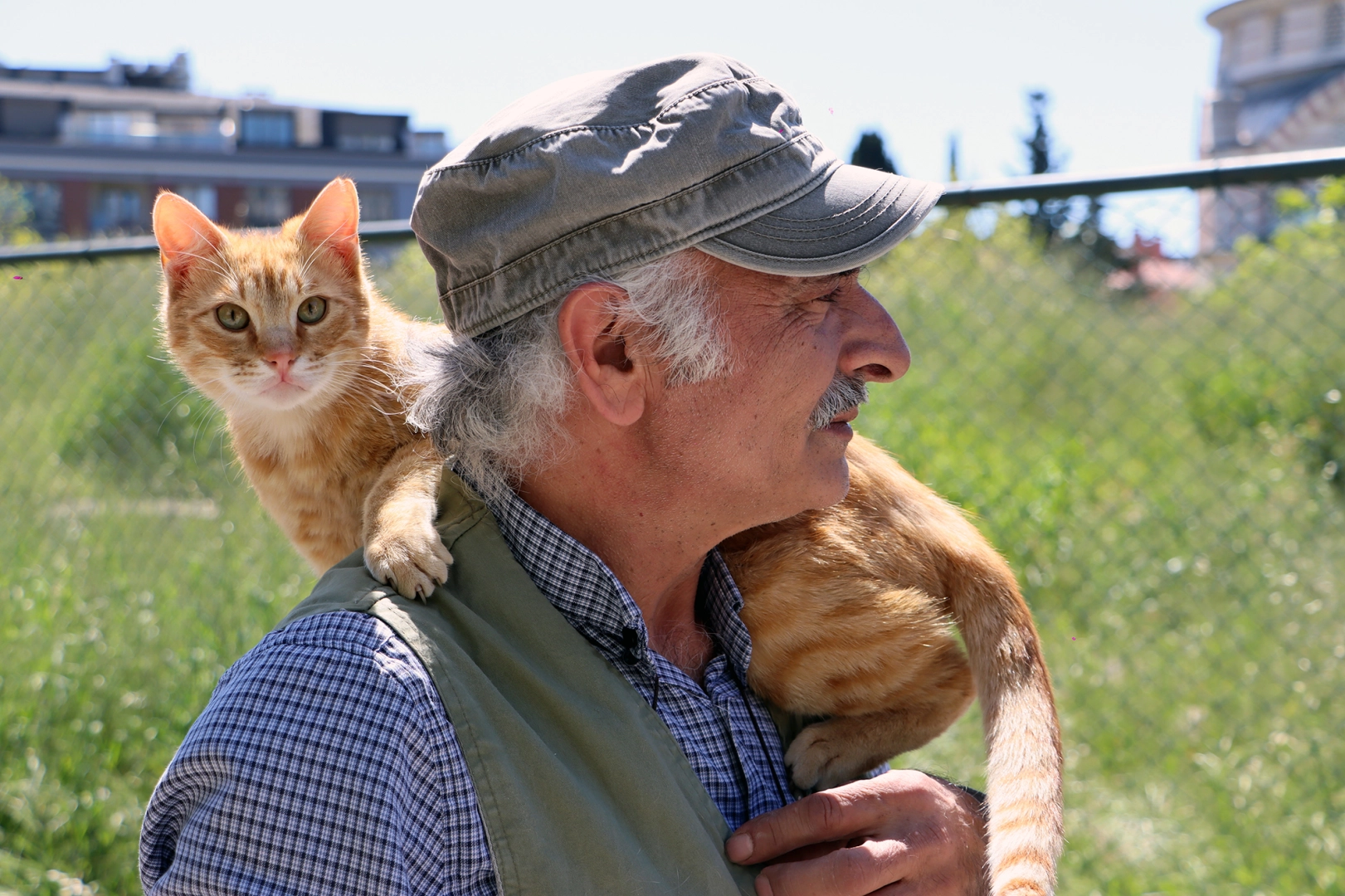 İstanbul Maltepe’de “can dostlar” güvende 