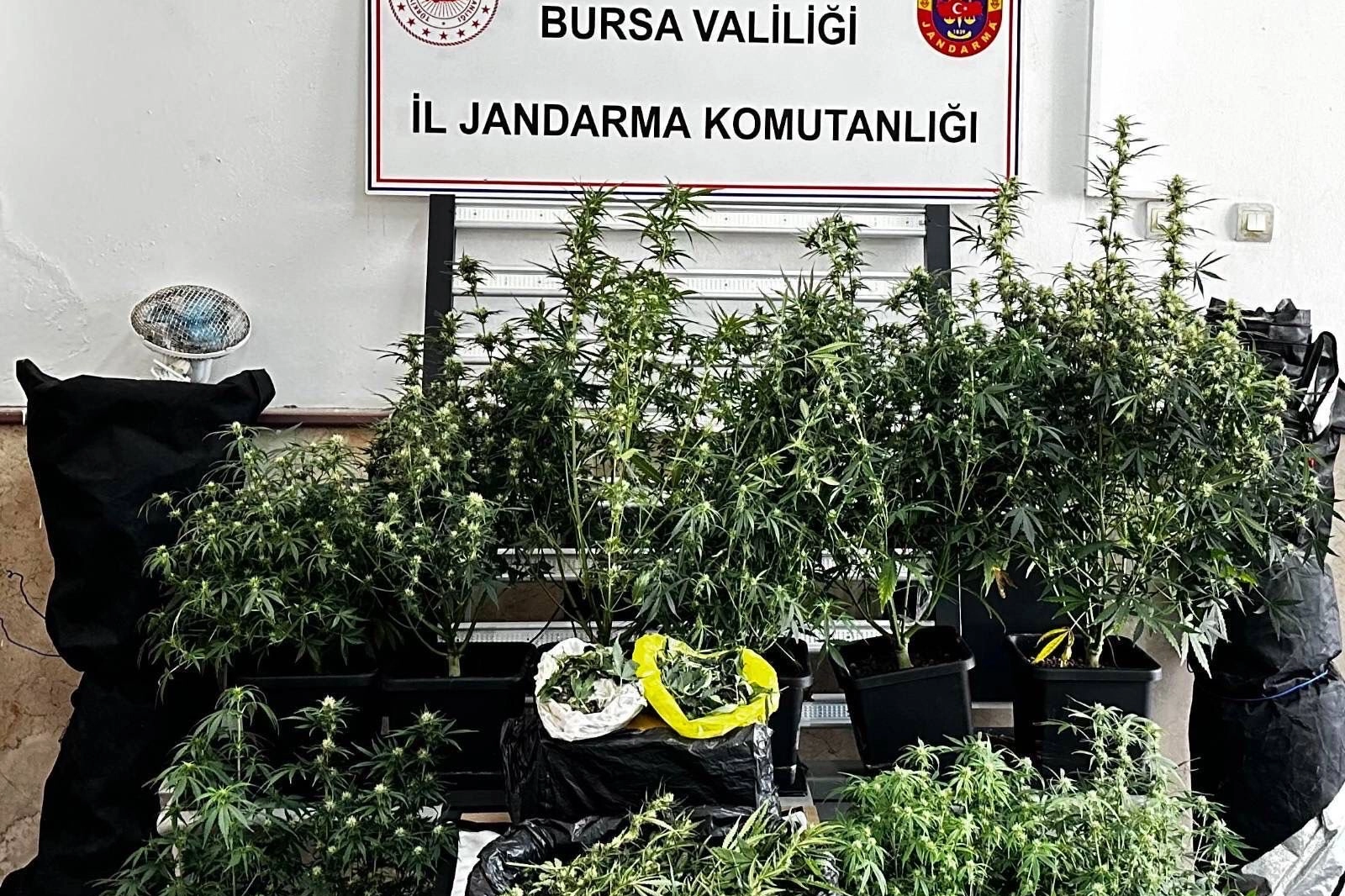 Bursa’da kilolarca esrar ve skunk ele geçirildi 