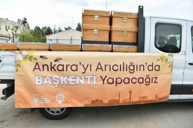 Ankara Büyükşehir'den arıcılara kovan desteği 