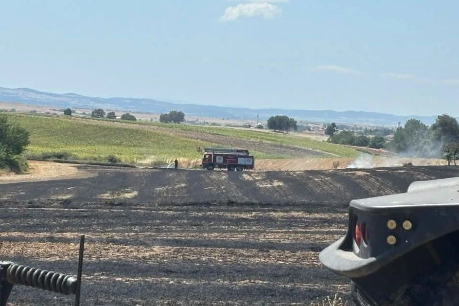 Aliçopehlivan Köyü'nde yangın: 50 dekar arazi zarar gördü