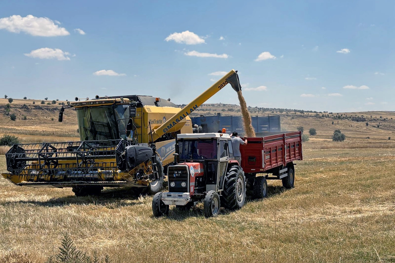 Kayseri Talas'ta can dostlara yem desteği 