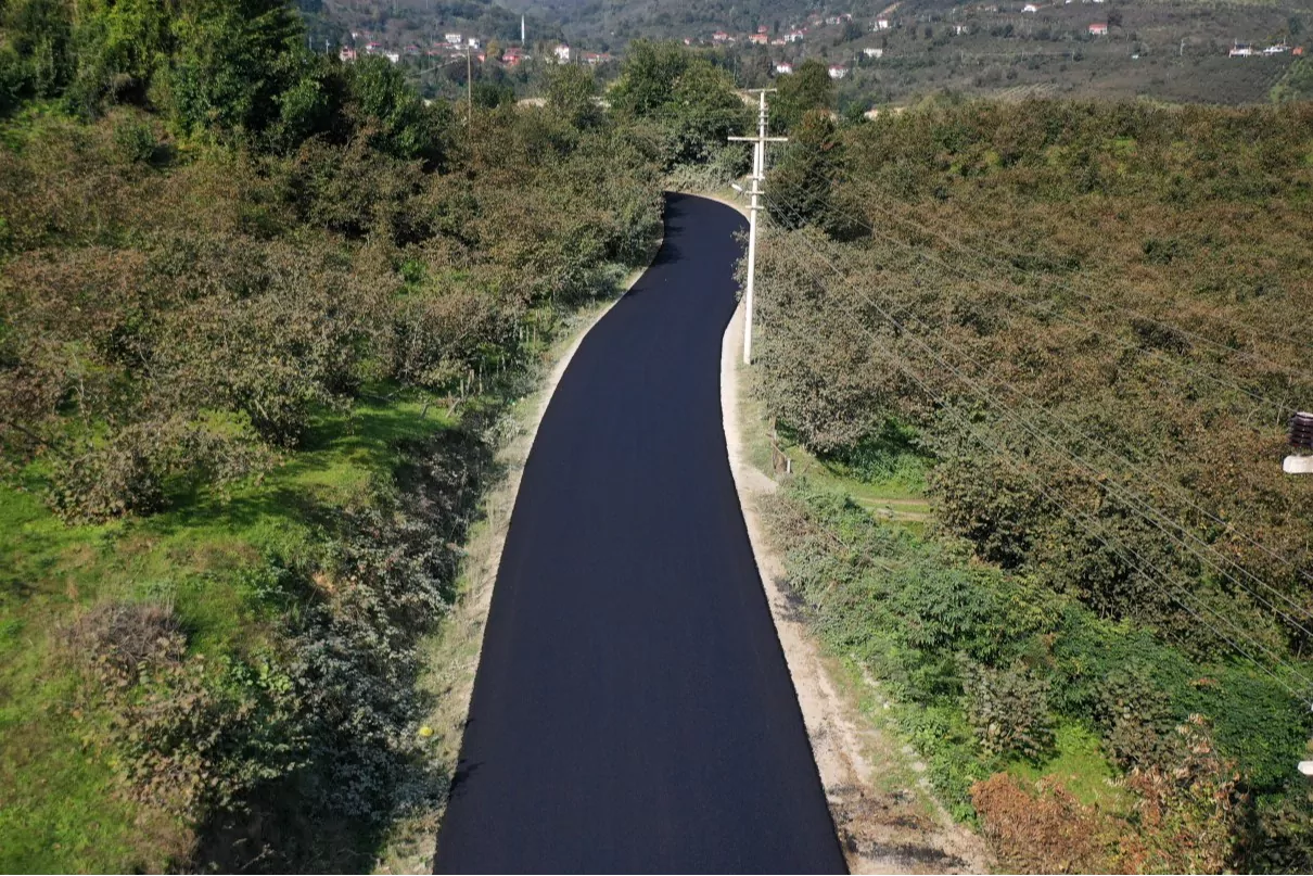 Ordu İkizce Düzpelit Mahallesi asfalta kavuşuyor