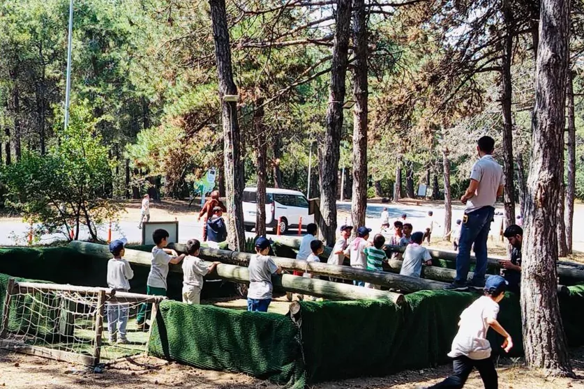 Devlet korumasında 2.240 çocuk yararlandı