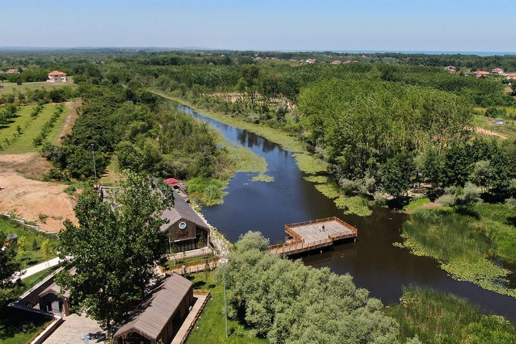 Acarlar Longozu turist akınına uğradı -