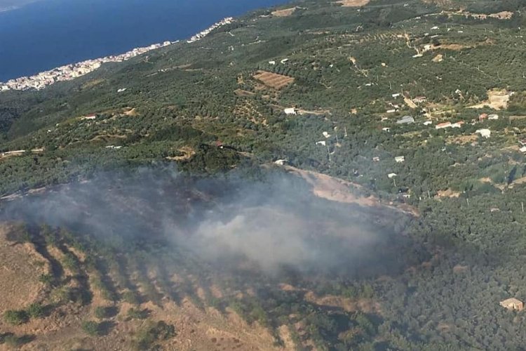 AFAD'dan 'orman' genelgesi -