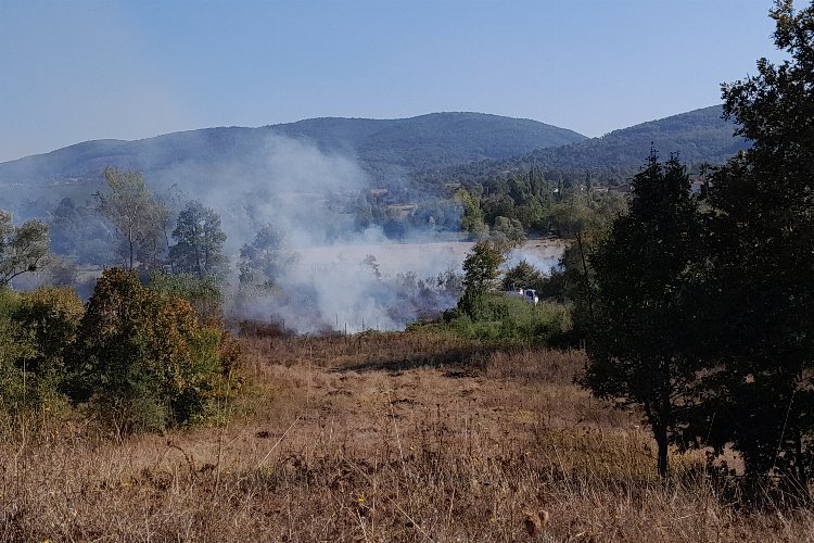 Alevler tabiat parkına ulaşmadan söndürüldü -