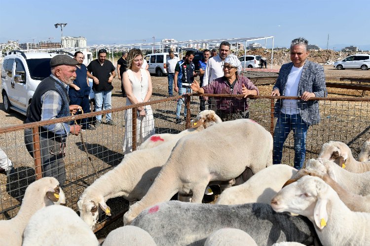 Antalya Muratpaşa'da kurbanlık hazırlıklar tamam -