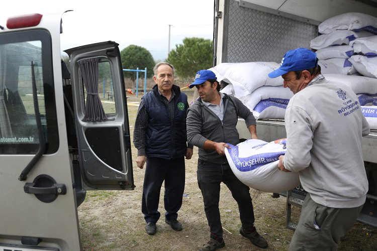 Aydın Büyükşehir'den yem desteği -