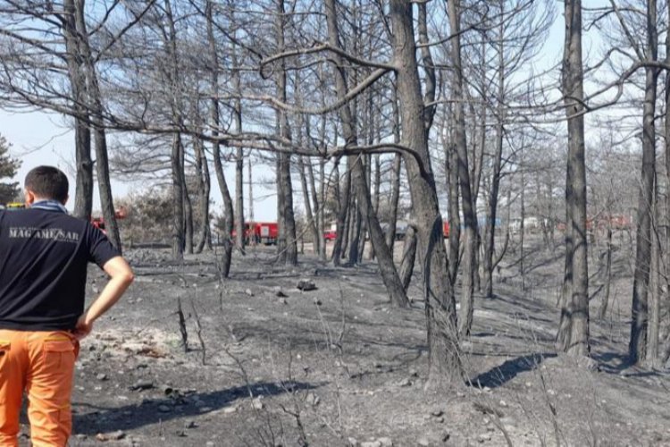Beylikdüzü'nden Çanakkale'ye takviye -