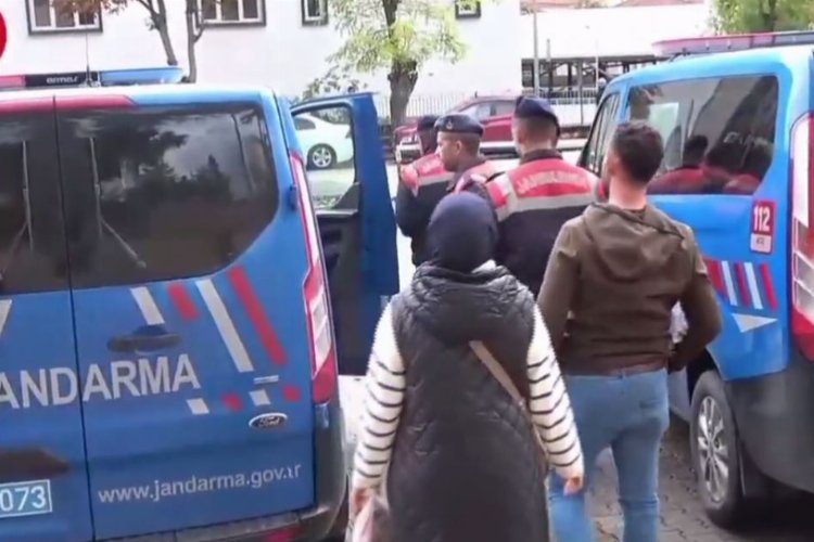 Bilecik'te köpek katliamı: 4 tutuklama -