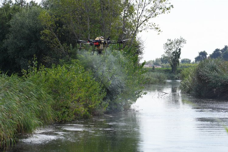 Bursa'da drone ile sinek avı -
