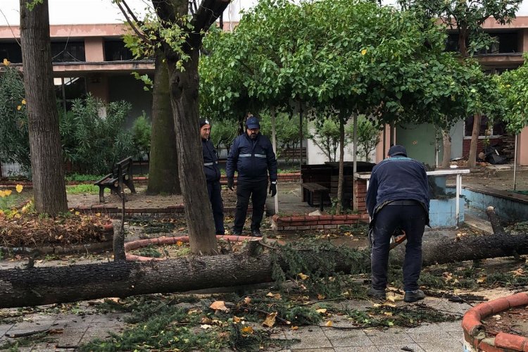 Bursa'da Osmangazi’de lodos mesaisi -