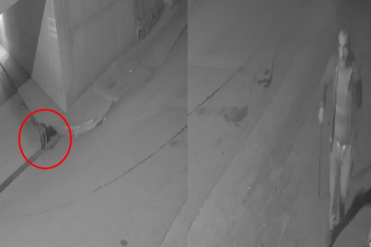 Bursa Gemlik'te mazgal hırsızları kameraya yakalandı -