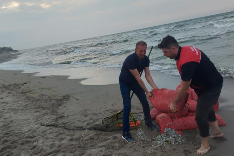 Bursa kırsal sahillerinde kum şırlanı denetimi -